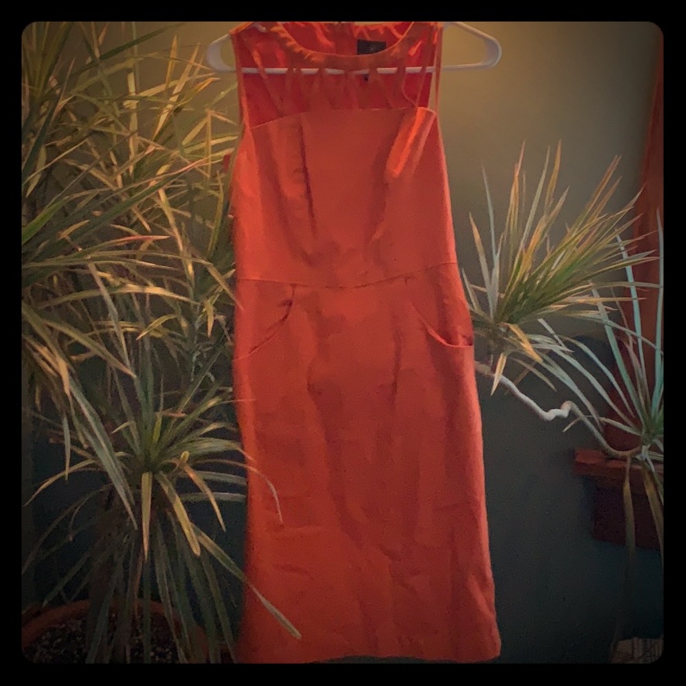 Adrianna Papell Coral Dress